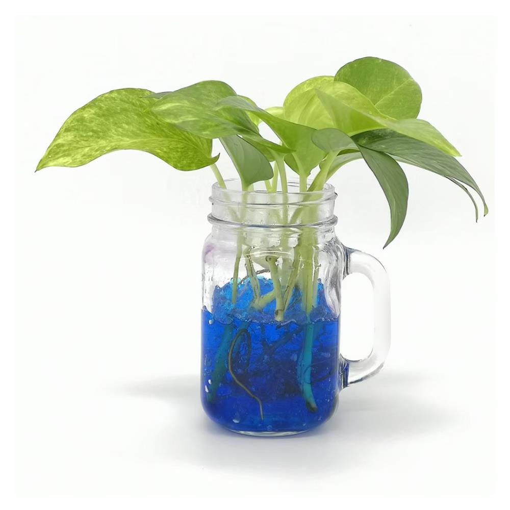 ดินวิทยาศาสตร์ GREEN GARDEN สีฟ้า