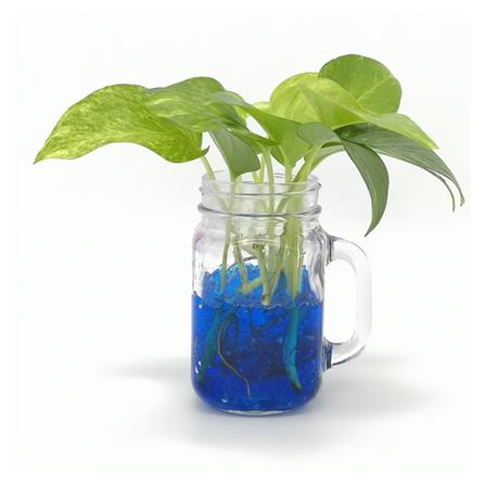 ดินวิทยาศาสตร์ GREEN GARDEN สีฟ้า_1