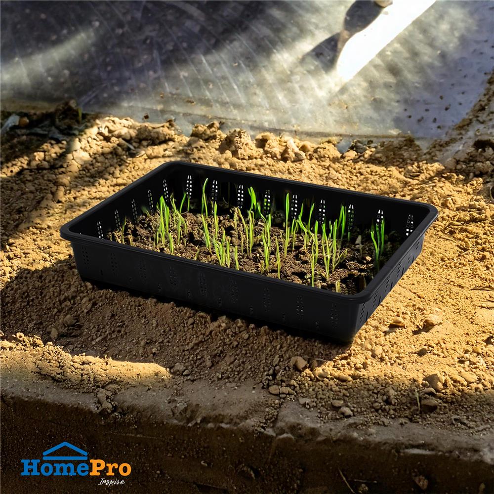 ภาชนะเพาะชำ SPRING 36x50 ซม. สีดำ