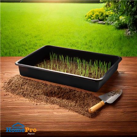 ถาดเพาะชำไม่มีรูระบายน้ำ SPRING 36x50 ซม. สีดำ_4