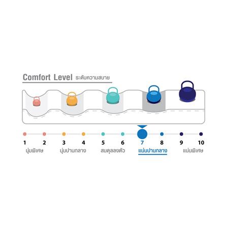 ที่นอน 6 ฟุต HOME LIVING STYLE CALISTA_5