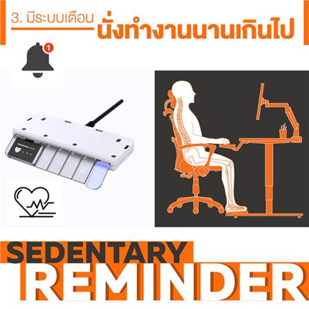 โต๊ะทำงานปรับระดับ ERGOTREND SIT 2 STAND GEN4 180 ซม. สี TWILIGHT ELM/ขาว_2