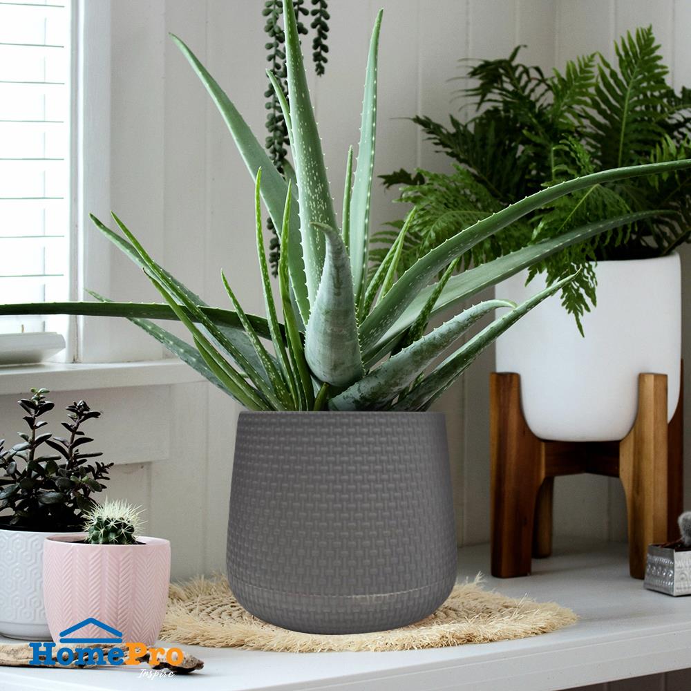 กระถางพลาสติก SPRING NELLA 13 ซม. สีเทา