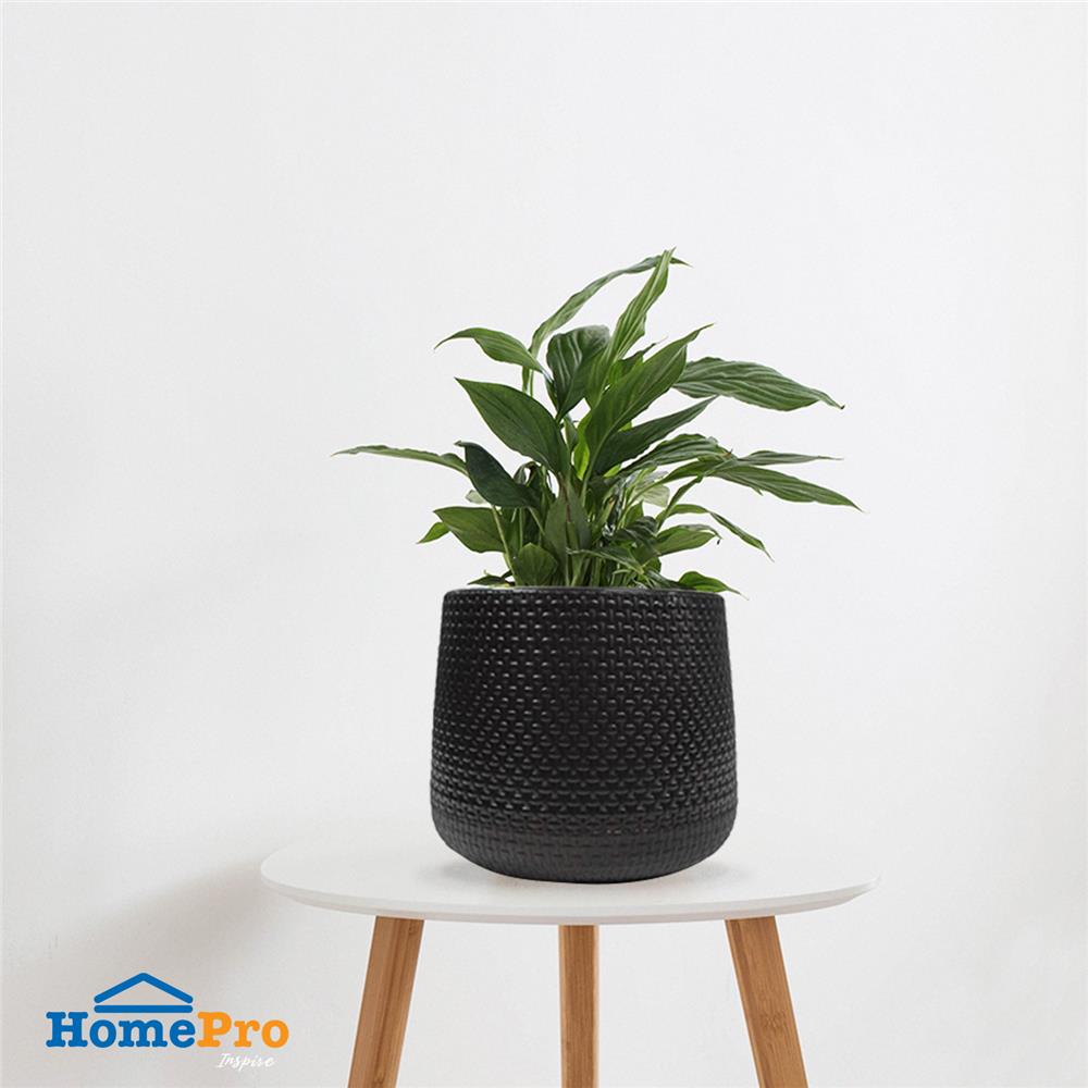 กระถางพลาสติก SPRING NELLA 28 ซม. สีดำ