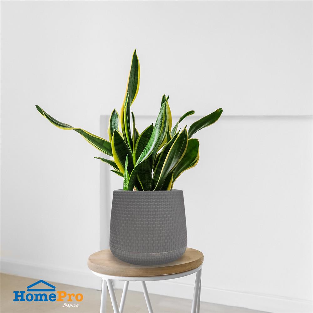 กระถางพลาสติก SPRING NELLA 17 ซม. สีเทา