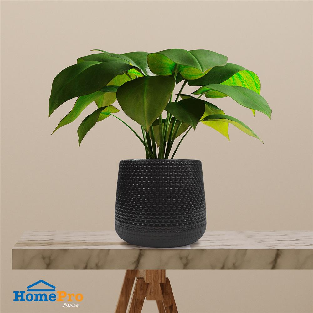 กระถางพลาสติก SPRING NELLA 23 ซม. สีดำ