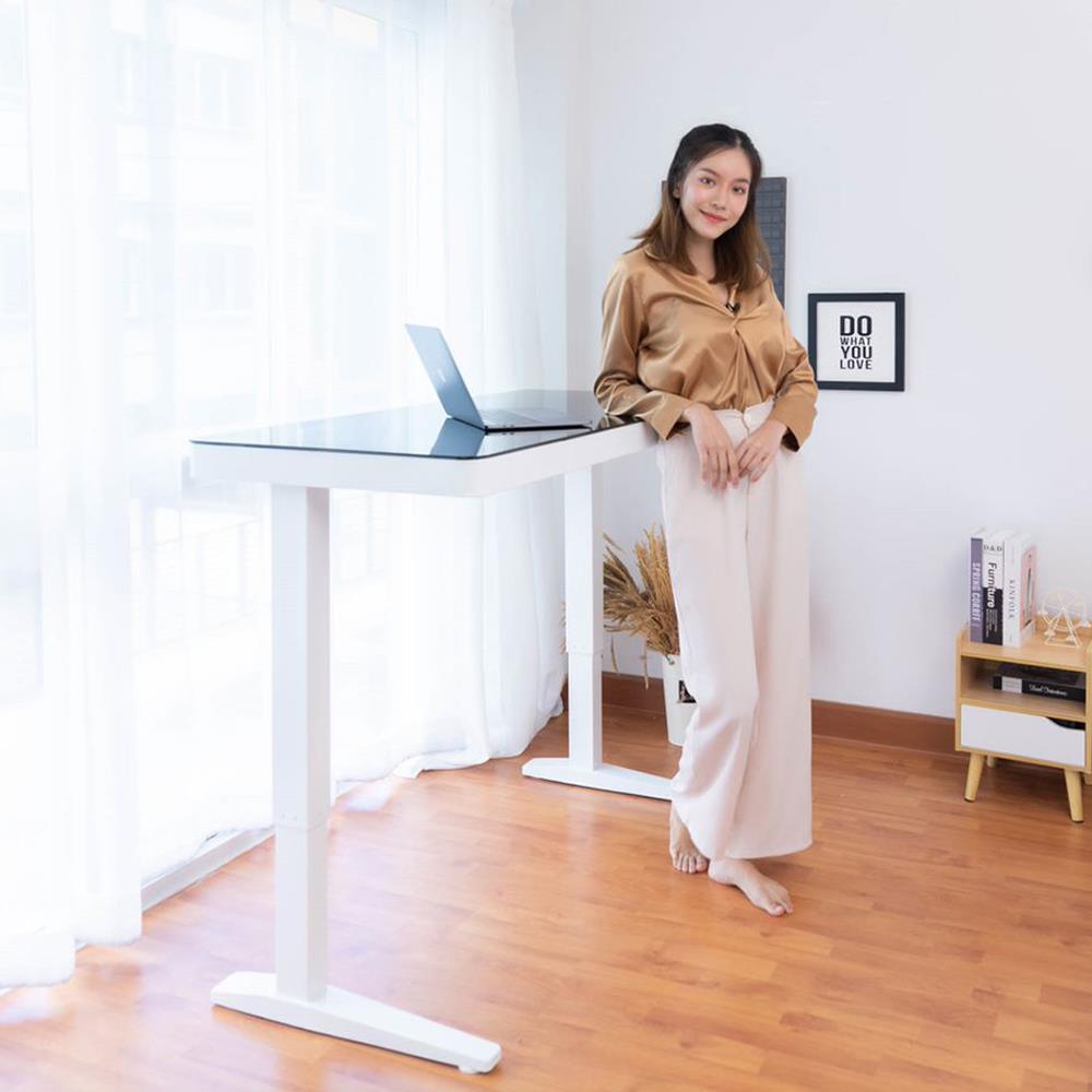 D.I.Y. โต๊ะทำงานปรับระดับ DESKSPACE W119DESK2 สีขาว/สีดำ