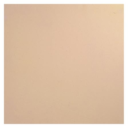 กระเบื้องดินเผา 8x8 นิ้ว KENZAI ฟลอเรนซ์ ไทล์ แอพริคอท 10P