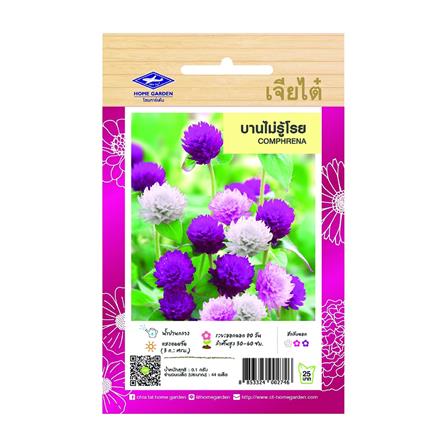 เมล็ดพันธุ์บานไม่รู้โรย ตราเจียไต๋_0