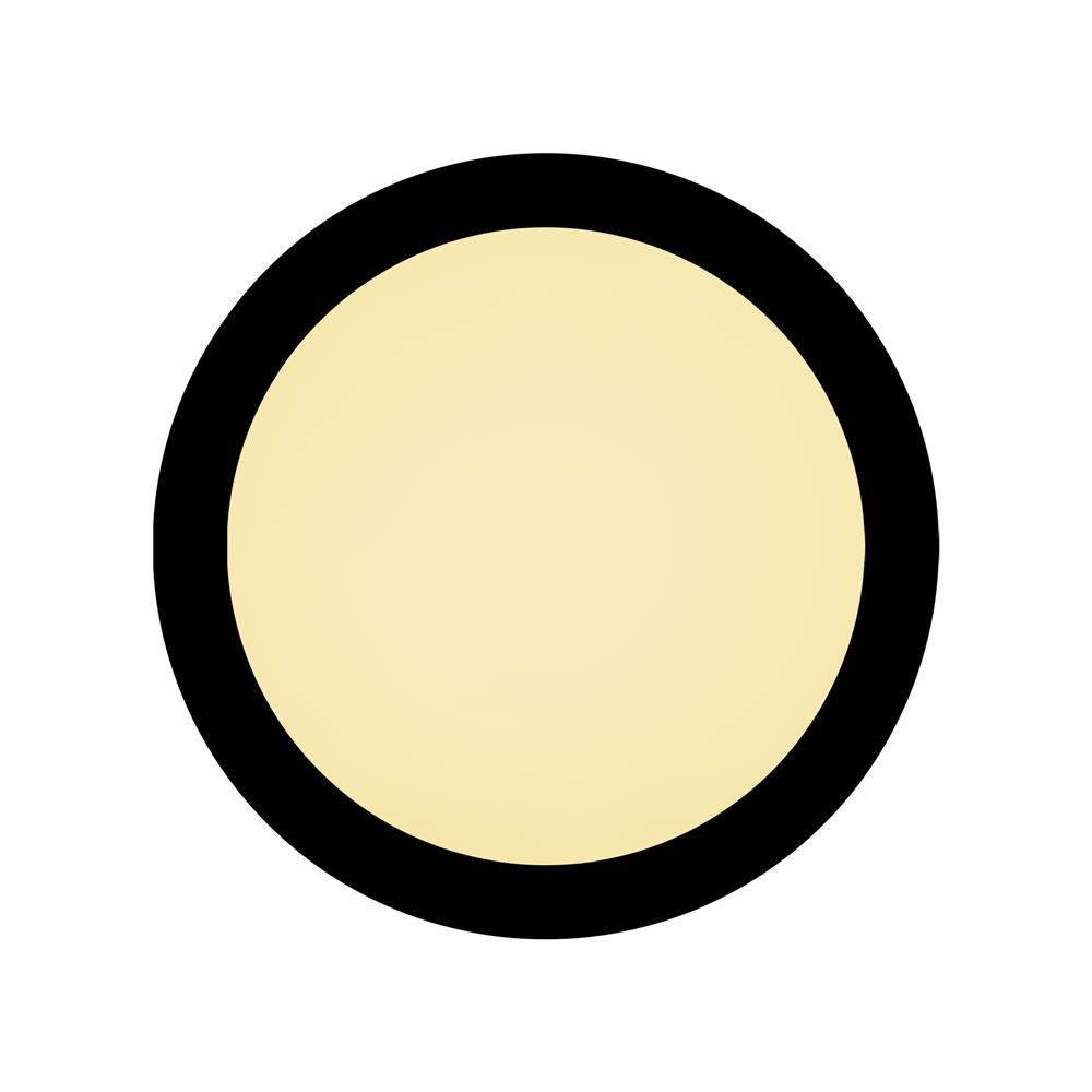 ดาวน์ไลท์ LED EVE 584280 12 นิ้ว 24 วัตต์ WARM WHITE สีดำ