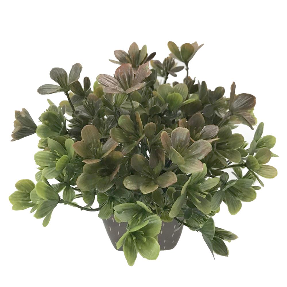 ต้นไม้ใบเขียวในกระถางเซรามิก 02 WACH 23