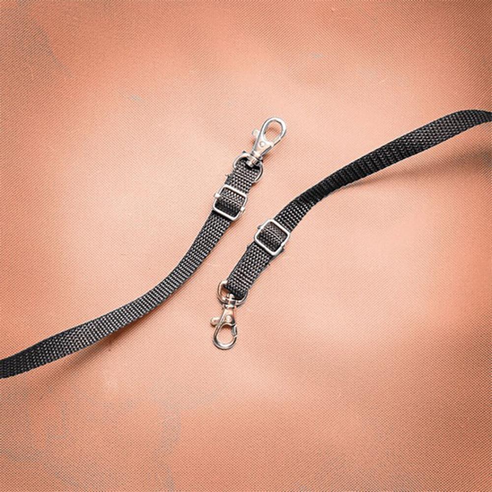 รถเข็น Ibiyaya Monarch Premium Pet Jogger Luxury Gold