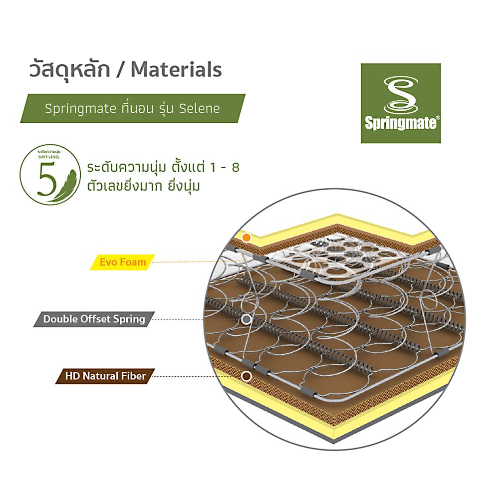 ที่นอน 6 ฟุต SPRINGMATE SELENE
