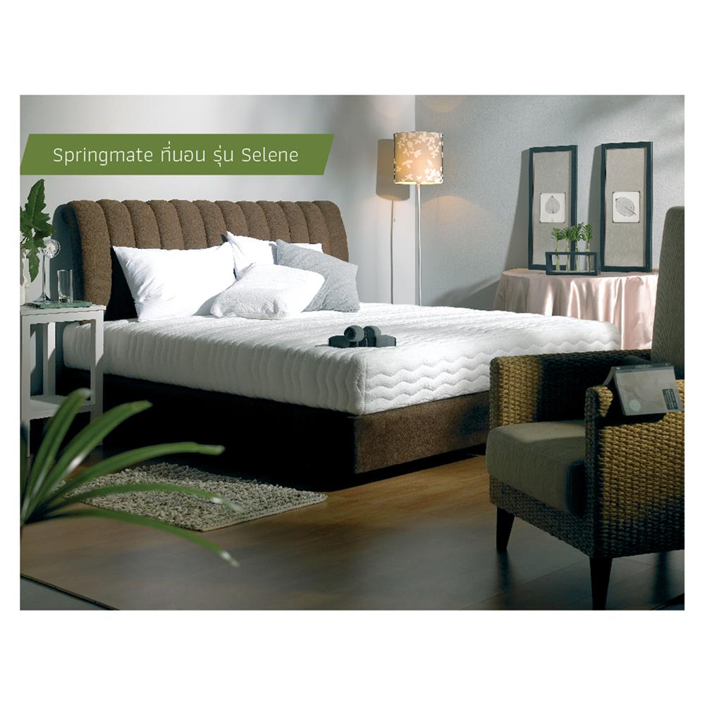 ที่นอน 6 ฟุต SPRINGMATE SELENE