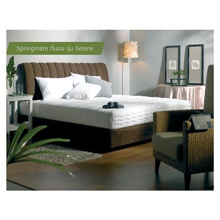 ที่นอน 6 ฟุต SPRINGMATE SELENE_5