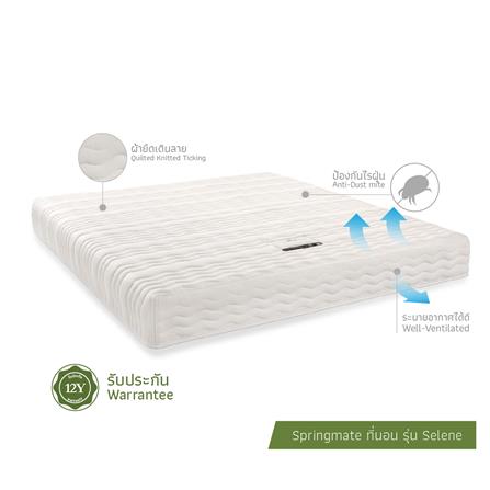 ที่นอน 5 ฟุต SPRINGMATE SELENE_3