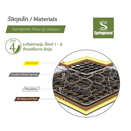 ที่นอน 3.5 ฟุต SPRINGMATE HALCYON_4