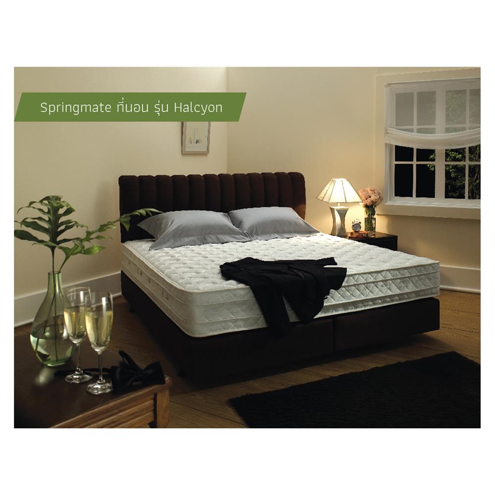 ที่นอน 5 ฟุต SPRINGMATE HALCYON