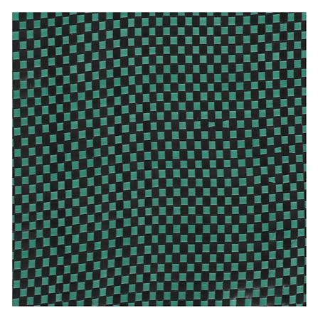 ถุงใส่ใบไม้แห้ง SPRING 67x76 ซม._4