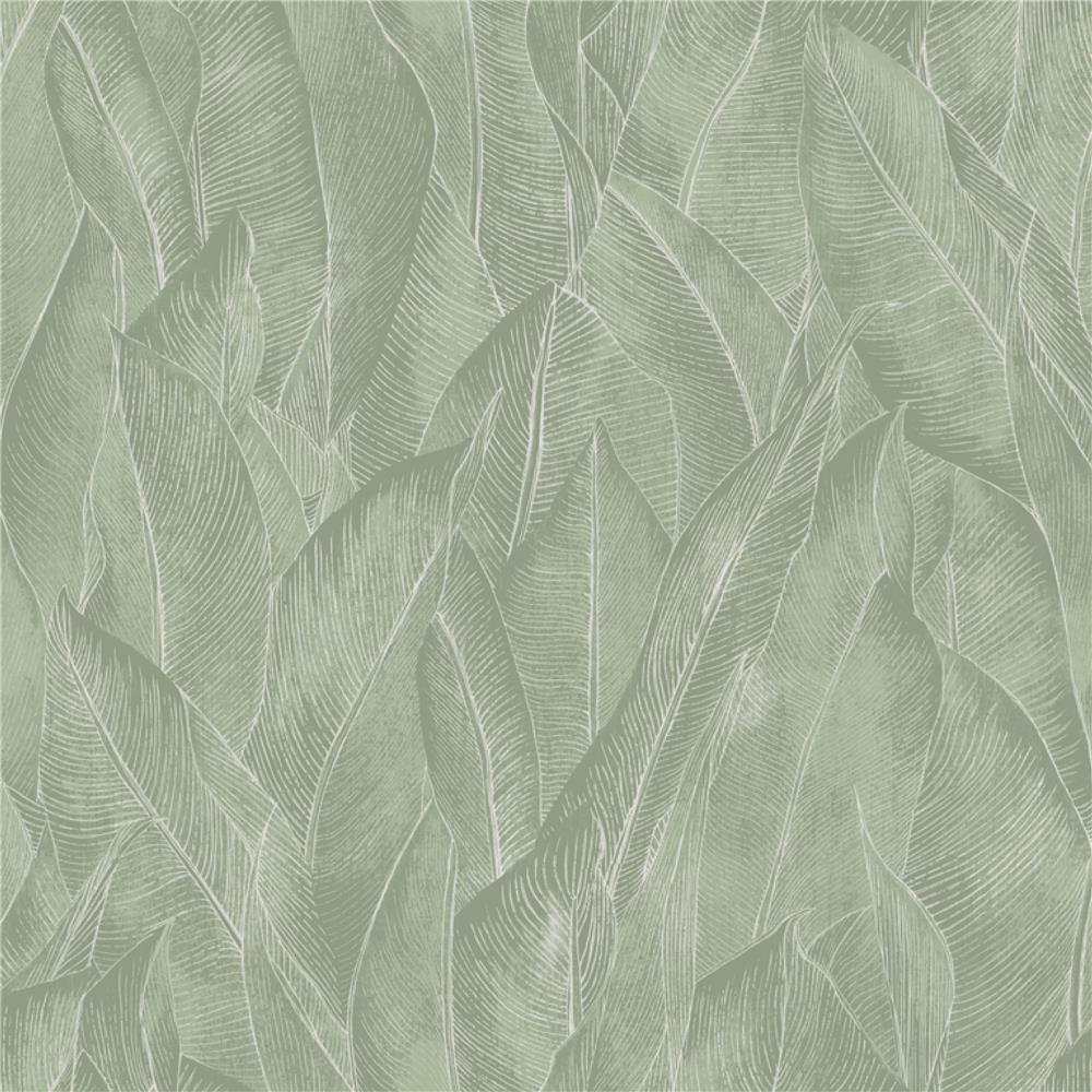 วอลล์เปเปอร์ DIY HOME LIVING STYLE CASANOVA NO.77029_1