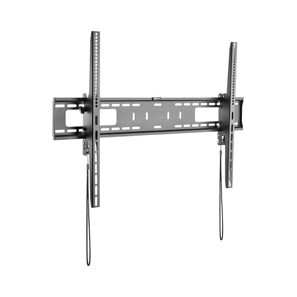 ขาแขวน LEONA L100