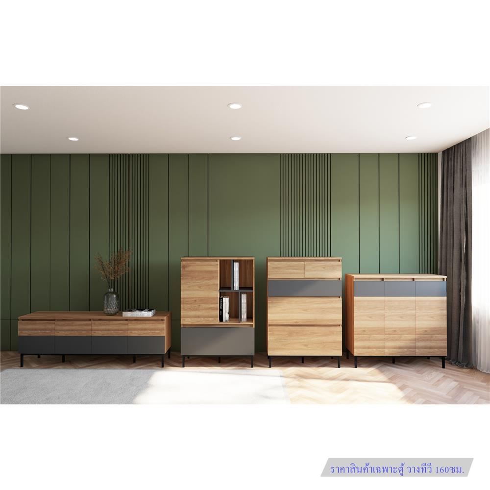 ตู้วางทีวี FURDINI THEO 160 ซม. สีฮันนี่วอลนัท/กราไฟท์