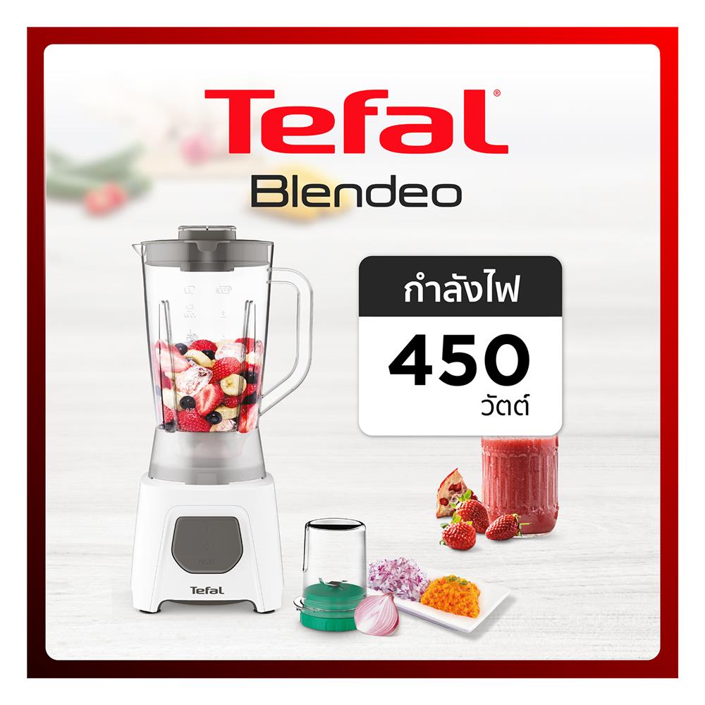 เครื่องปั่นน้ำผลไม้ TEFAL BL2B1166 1.25 ลิตร