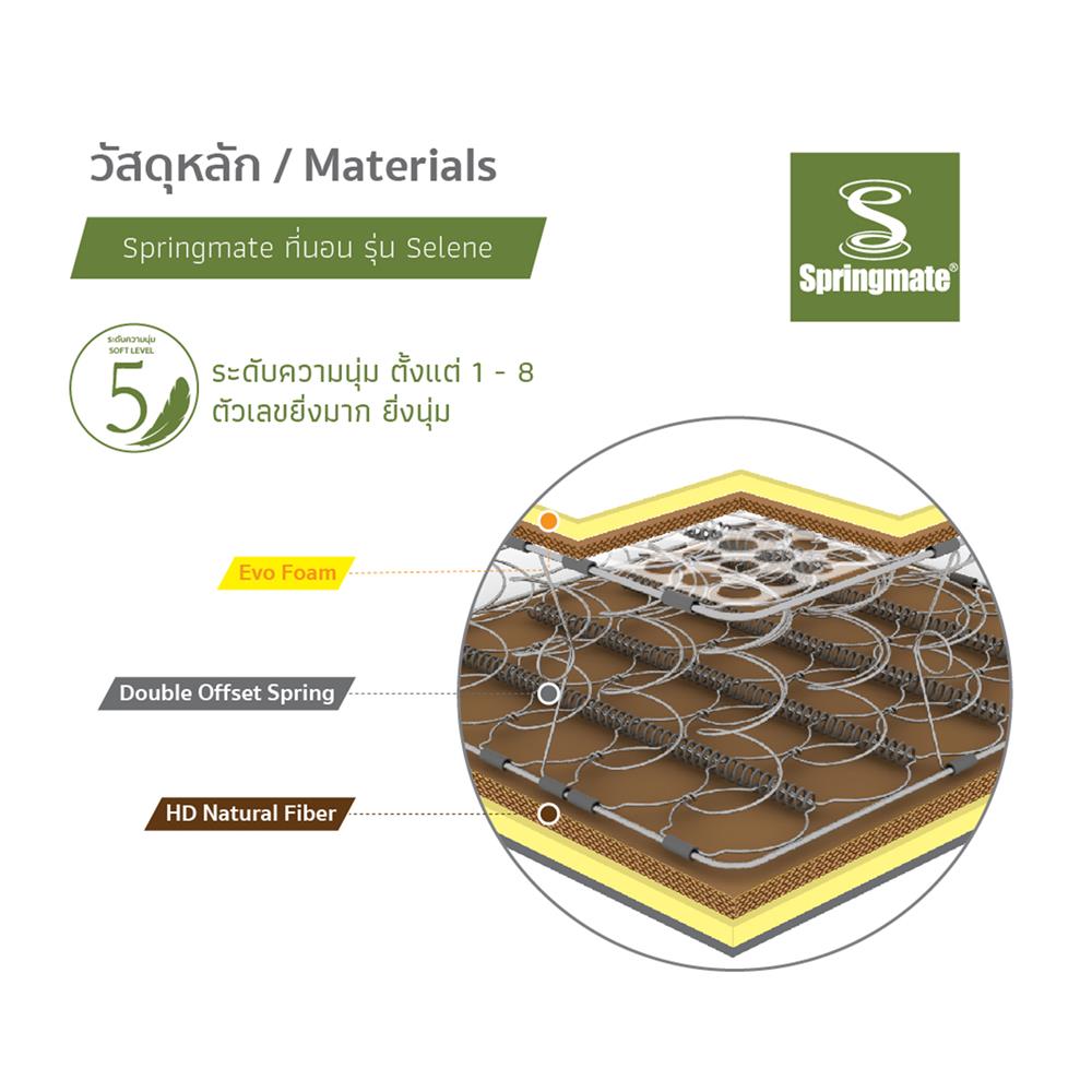 ที่นอน 3.5 ฟุต SPRINGMATE SELENE
