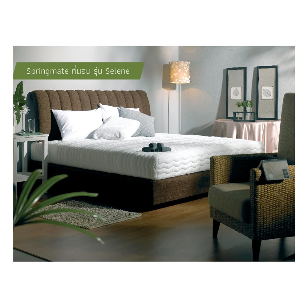 ที่นอน 3.5 ฟุต SPRINGMATE SELENE
