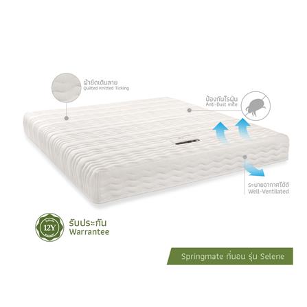 ที่นอน 3.5 ฟุต SPRINGMATE SELENE_3