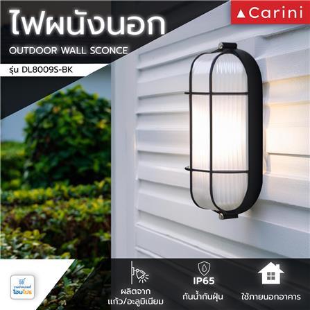 ไฟผนังภายนอก CARINI DL8009S-BK สีดำ_4