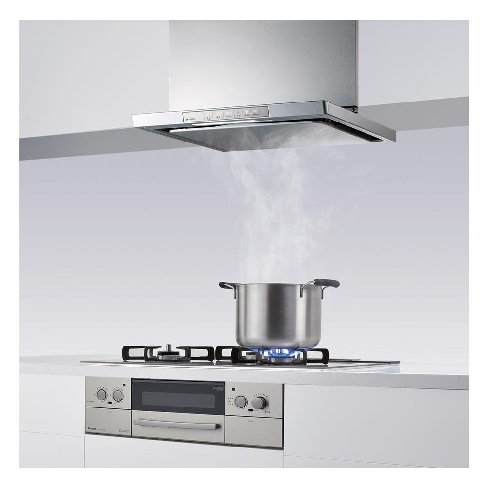 เตาฝังแก๊ส RINNAI RB7913GCSSM 60 ซม.