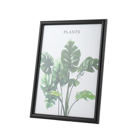 กรอบรูป PTS PLANTS A4 8.2X11.7 นิ้ว สีดำ_1