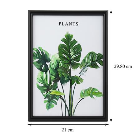 กรอบรูป PTS PLANTS A4 8.2X11.7 นิ้ว สีดำ_4