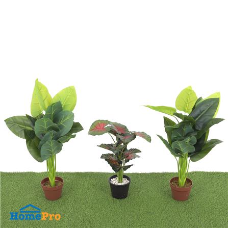 หญ้าเทียมมนิลา ความสูงหญ้า 15 มม. หน้ากว้าง 2 ม. SPRING C-SHAPE (ตัดขายเป็นเมตร)_4