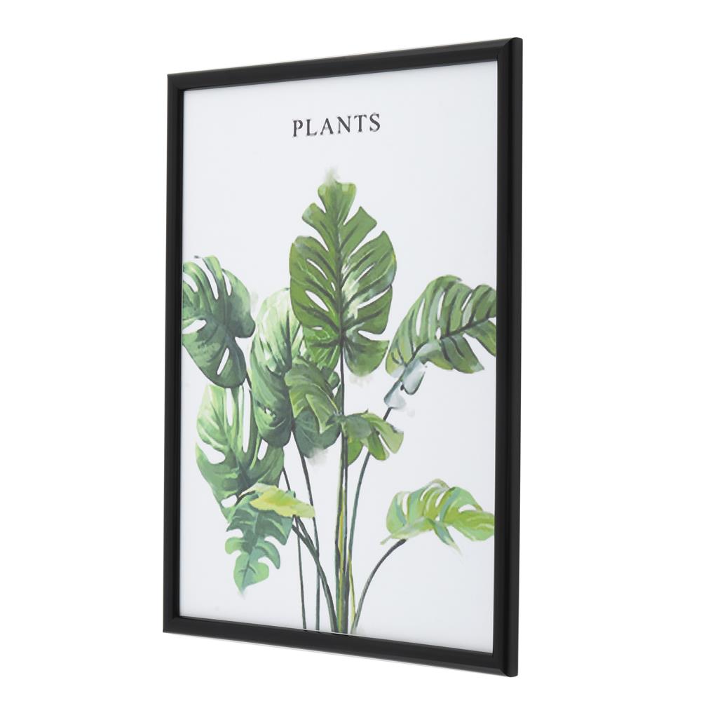 กรอบรูป PTS PLANTS 11.7X16.5 นิ้ว (A3) สีดำ