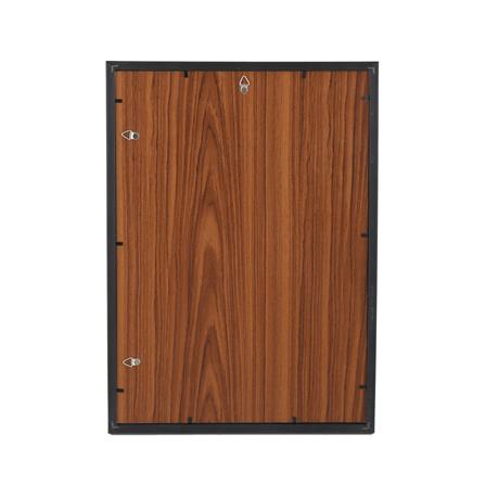 กรอบรูป PTS PLANTS 11.7X16.5 นิ้ว (A3) สีดำ_2