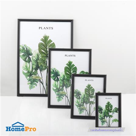 กรอบรูป PTS PLANTS 4x6 นิ้ว สีดำ_3