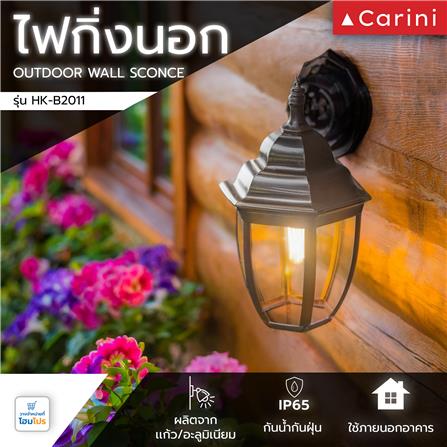 ไฟกิ่งภายนอก CARINI HK-B2011 สีเทา (แพ็ก 2 ชิ้น)_5