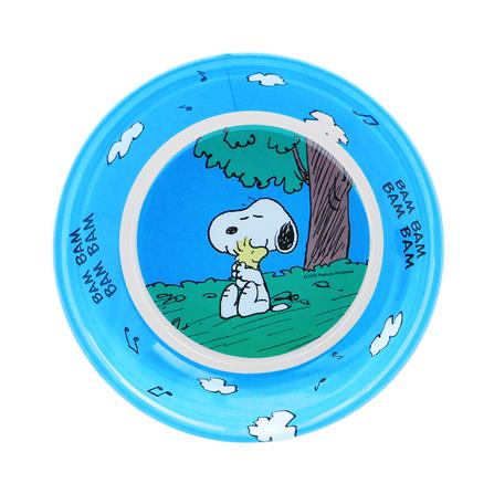 ชามเมลามีน 5.5