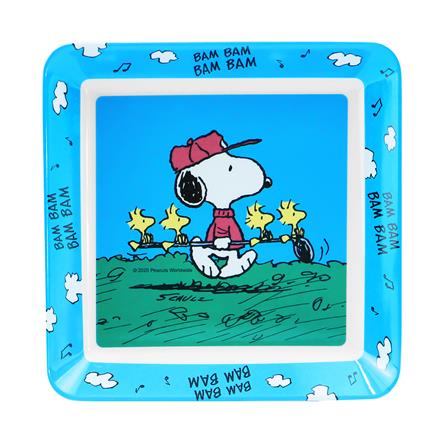 จานเมลามีนเหลี่ยม 6