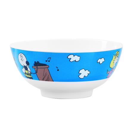 ชามเมลามีน H 7