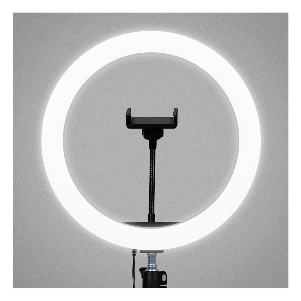 ไฟวงแหวน ตั้งโต๊ะ LED CARINI BO-BT22D สีขาว/ดำ