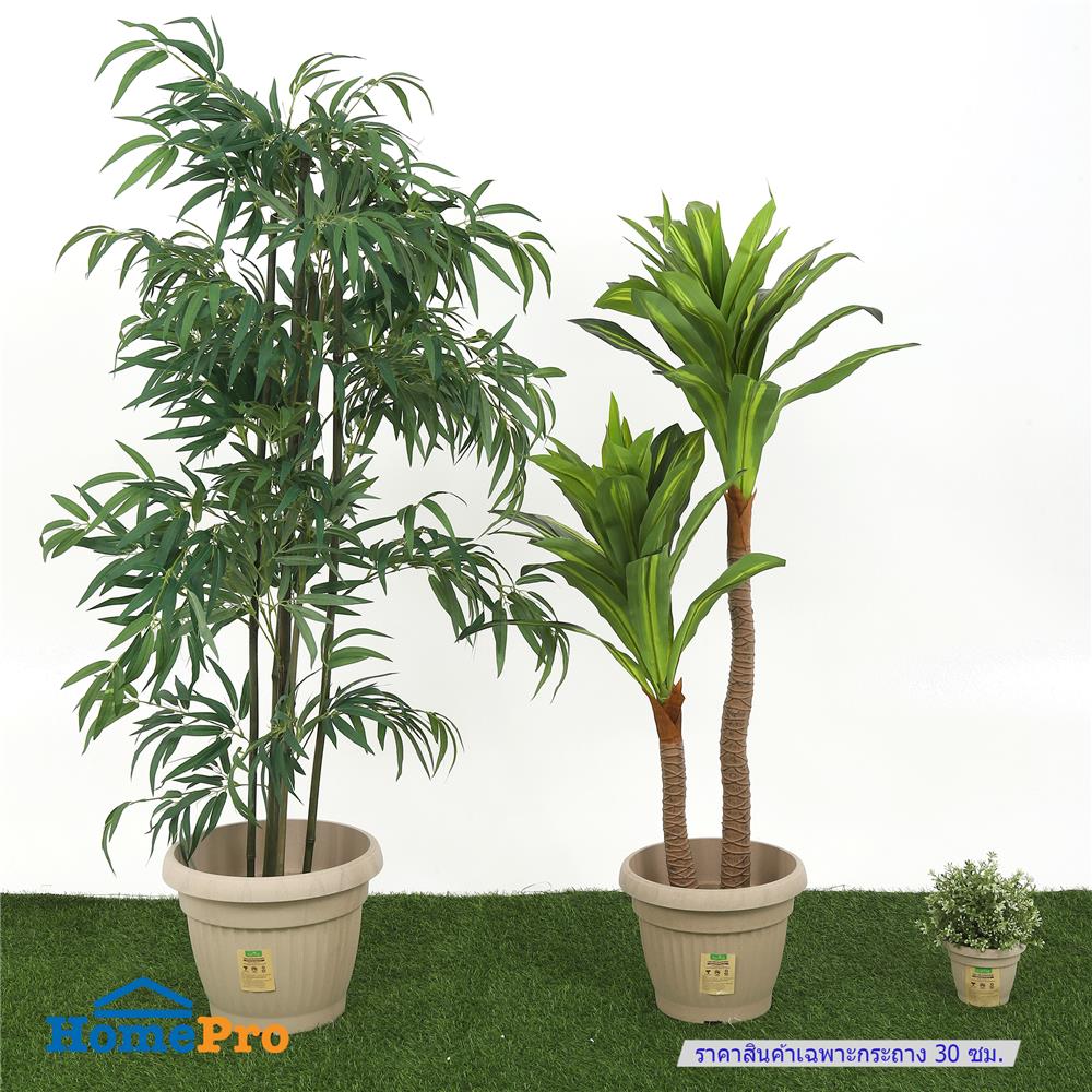 กระถางชีวภาพย่อยสลาย SPRING LOUIS 30 ซม. สีน้ำตาลอ่อน