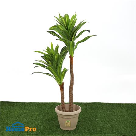 กระถางชีวภาพย่อยสลาย SPRING LOUIS 30 ซม. สีน้ำตาลอ่อน_3