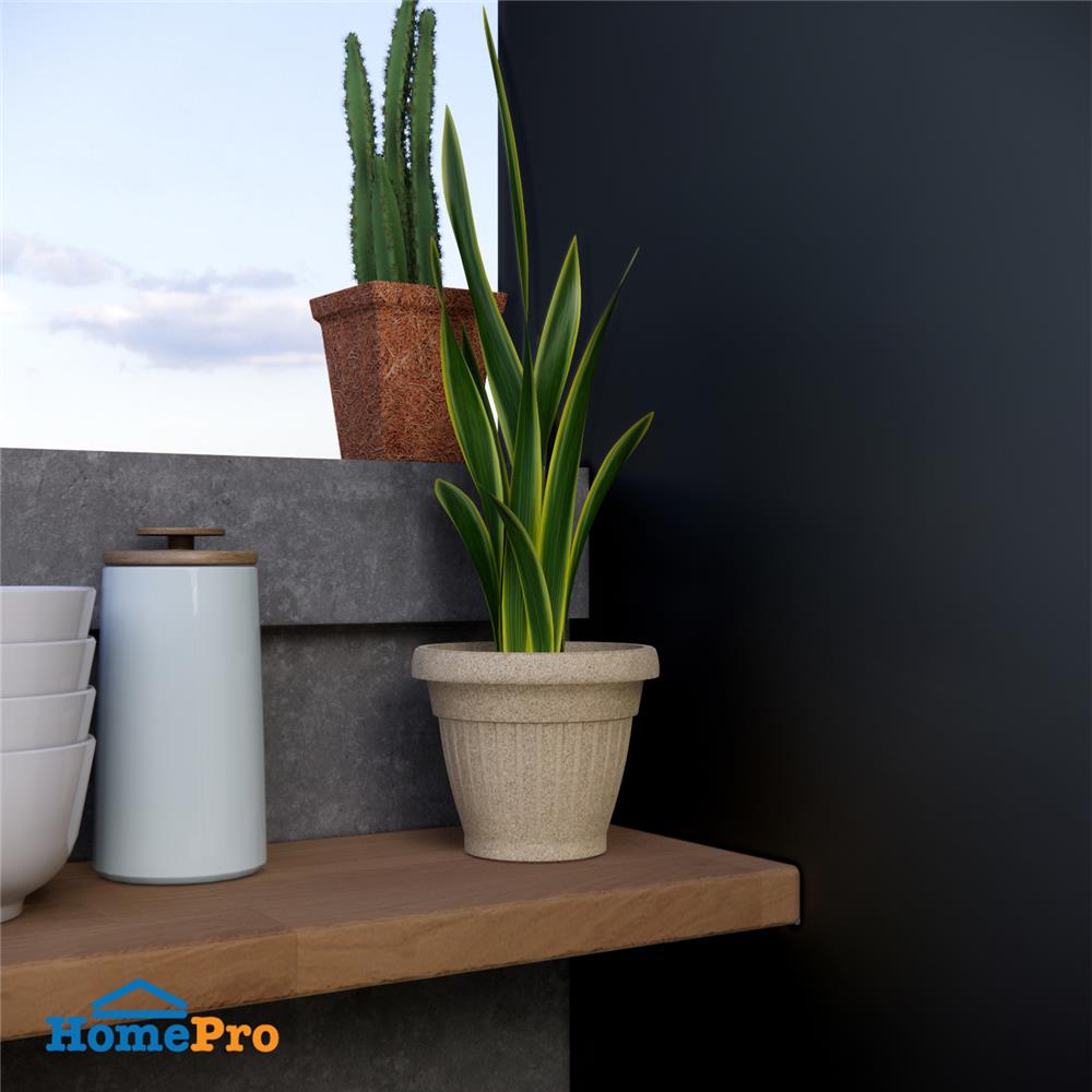 กระถางชีวภาพย่อยสลาย SPRING LOUIS 15 ซม. สีน้ำตาลอ่อน