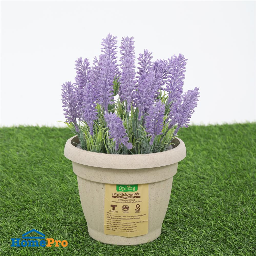 กระถางชีวภาพย่อยสลาย SPRING LOUIS 15 ซม. สีน้ำตาลอ่อน