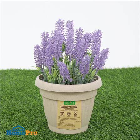 กระถางชีวภาพย่อยสลาย SPRING LOUIS 15 ซม. สีน้ำตาลอ่อน_4