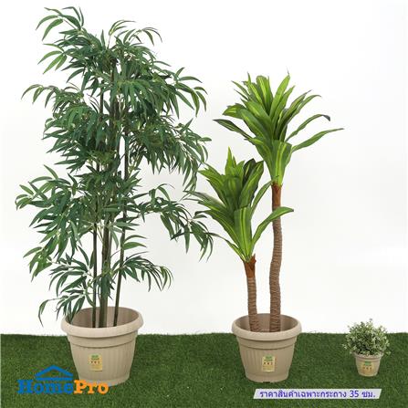 กระถางชีวภาพย่อยสลาย SPRING LOUIS 35 ซม. สีน้ำตาลอ่อน_4