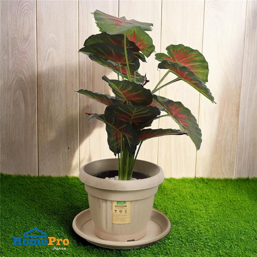 จานรองกระถางชีวภาพย่อยสลาย SPRING 30 ซม. สีน้ำตาลอ่อน